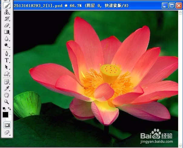 PS图层蒙版的应用