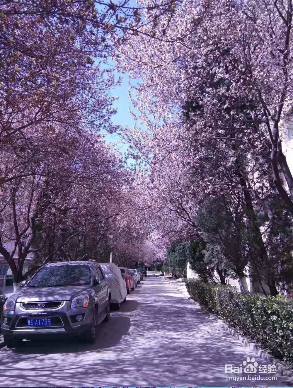 甘肃天水旅游攻略