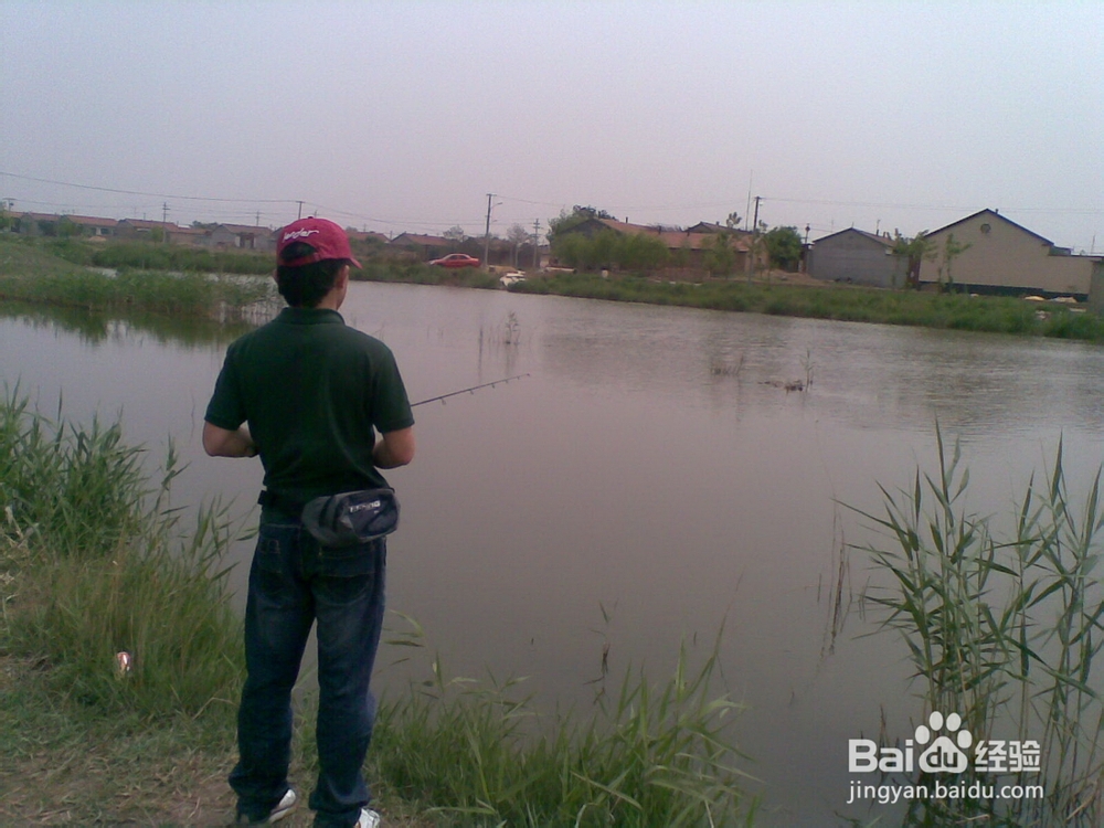 在野河钓鱼怎样选钓点