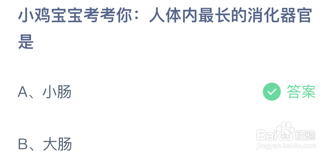 蚂蚁庄园8.18人体内最长的消化器官是