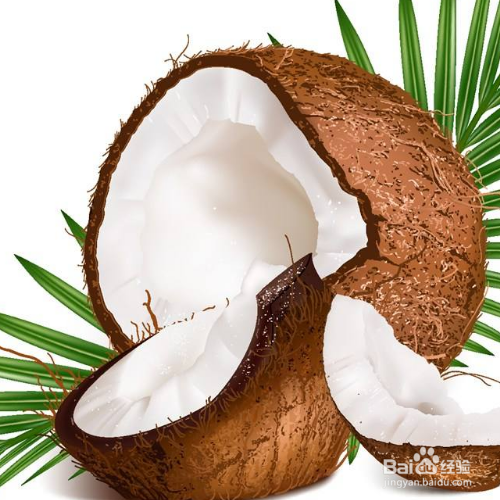 椰子太硬开椰器打不开-百度经验