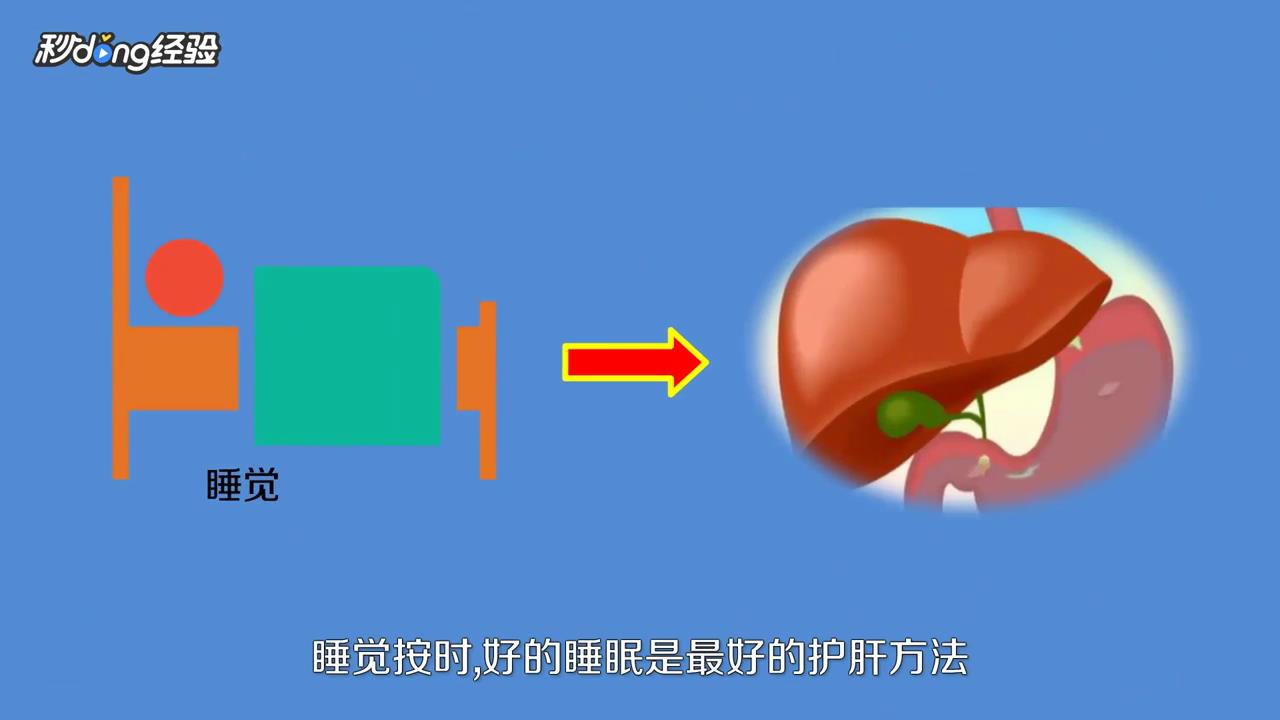 保护肝脏的最佳方法是什么？