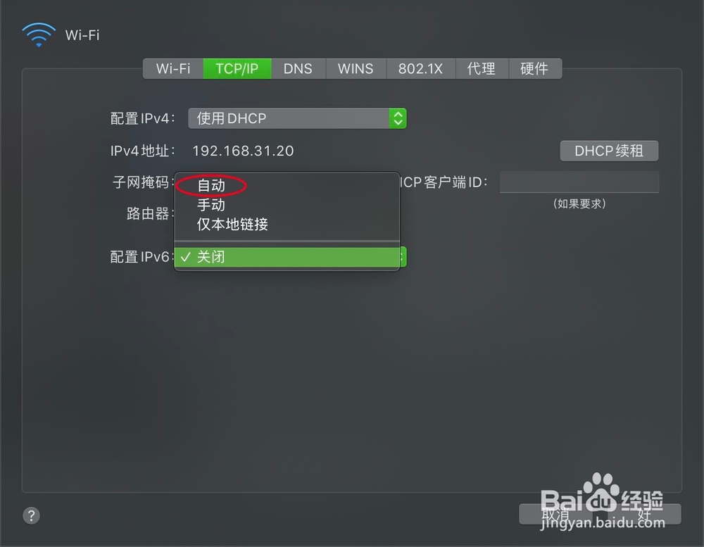 苹果电脑怎么自动获取IP