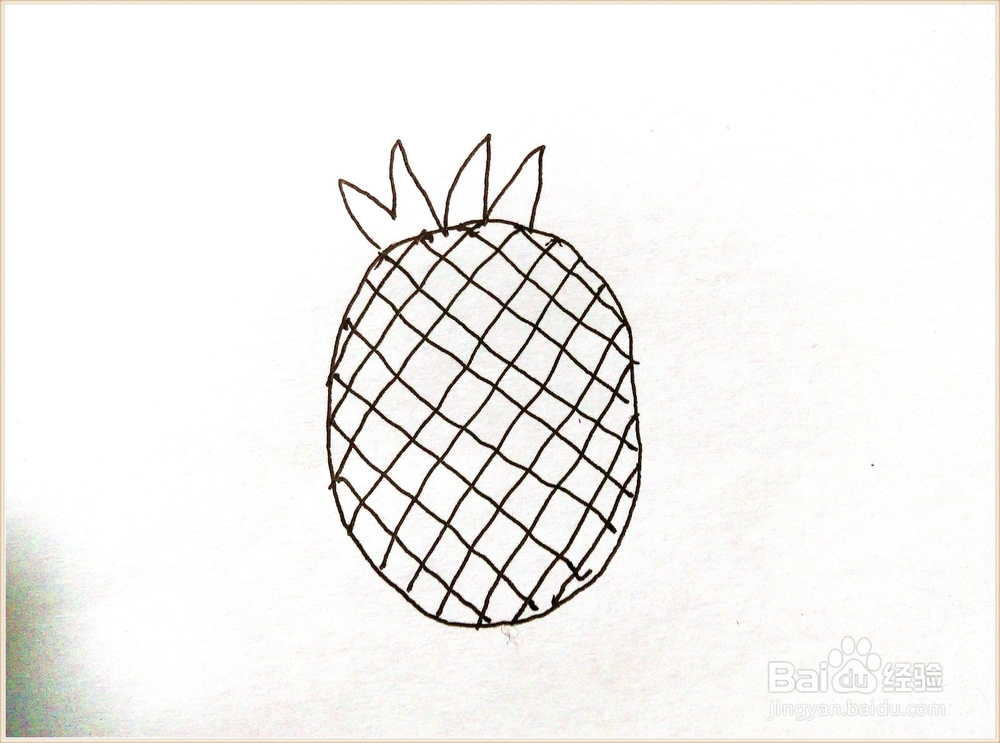 简笔画——菠萝