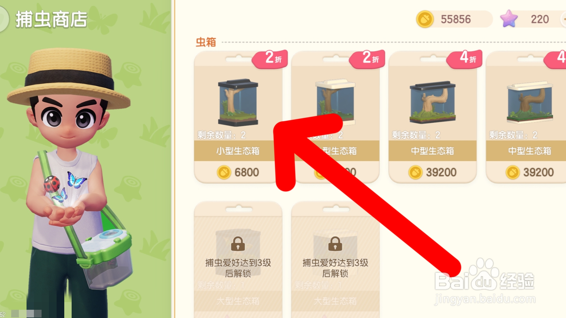 心动小镇如何获得小型生态箱