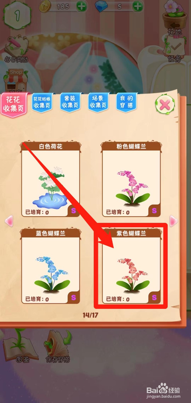 花花姑娘之魔法花园怎样查看紫色蝴蝶兰生长速度