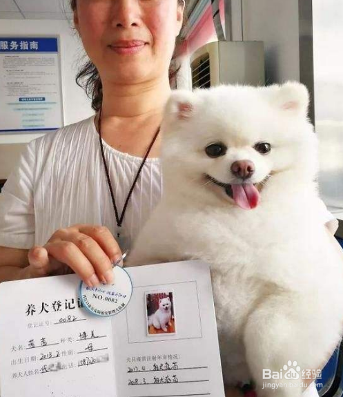 精神抚慰犬证怎么办理