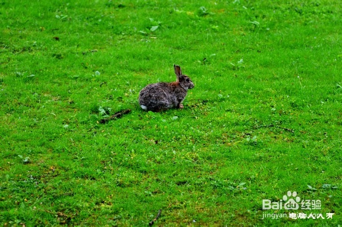英国游记：[20]最美乡村旅店②