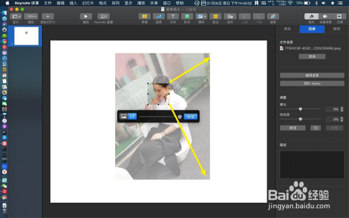 keynote怎么给图片加圆角