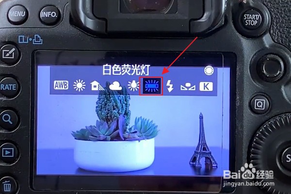 相机如何调节白平衡和色温?