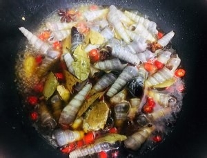 钉螺怎么吃里面的肉