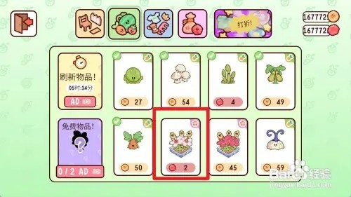 我亲爱的农场怎样购买白木槿花