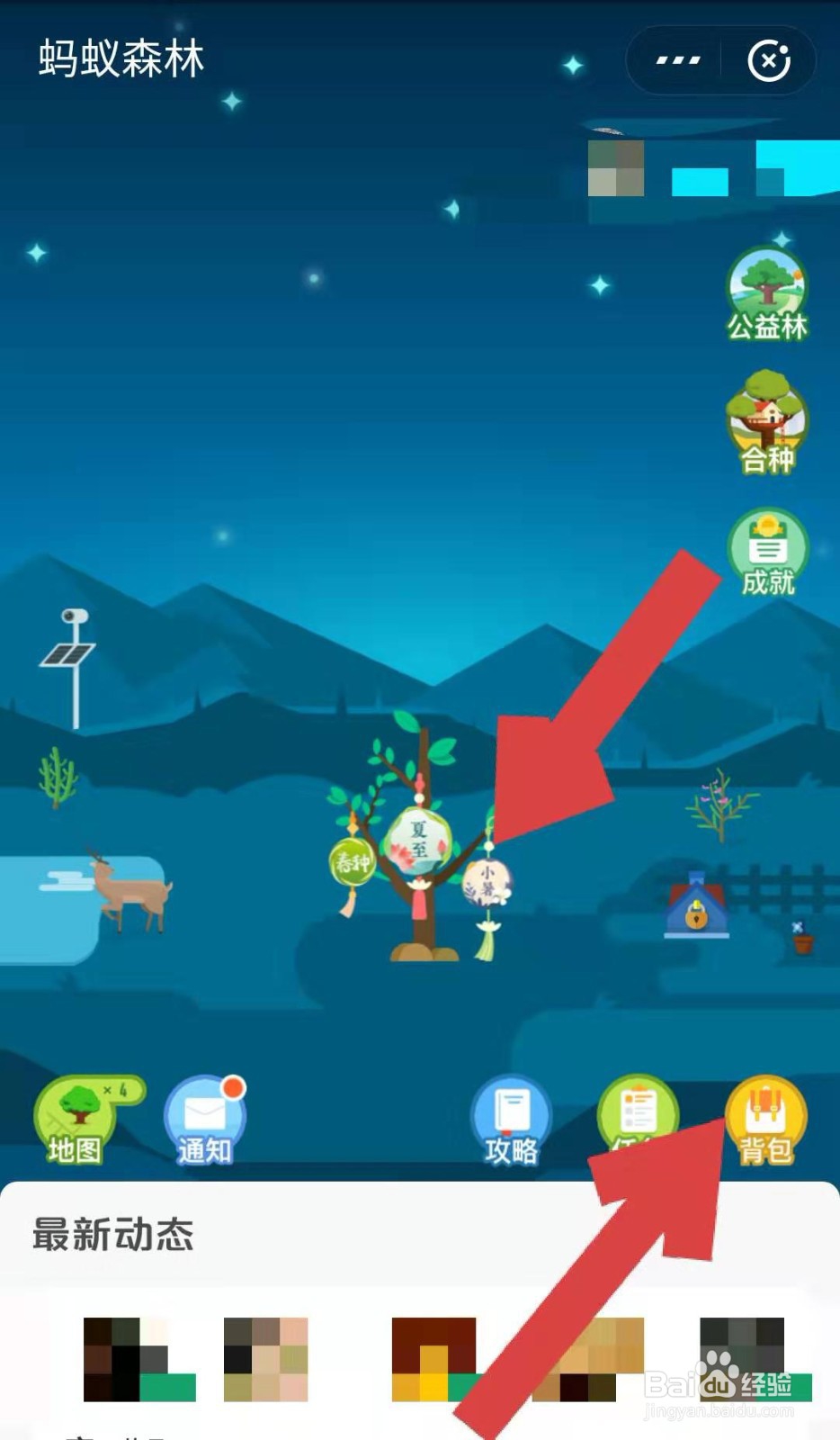 支付宝蚂蚁森林如何领取小暑节气装扮