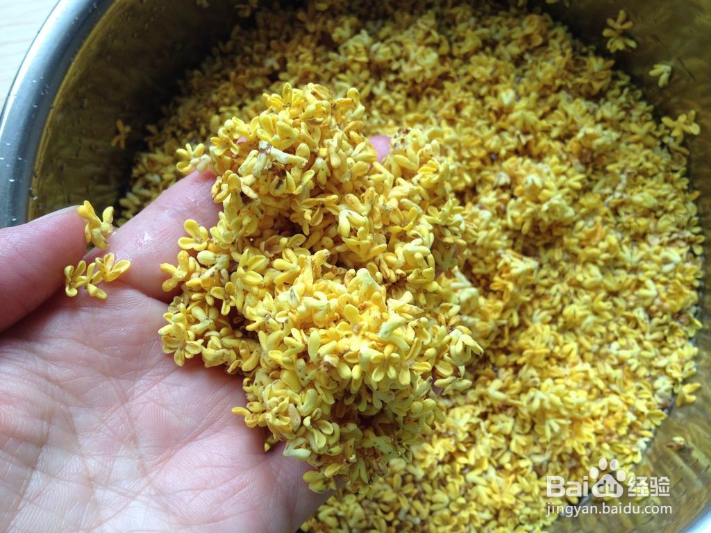 采好的桂花怎样处理才好?