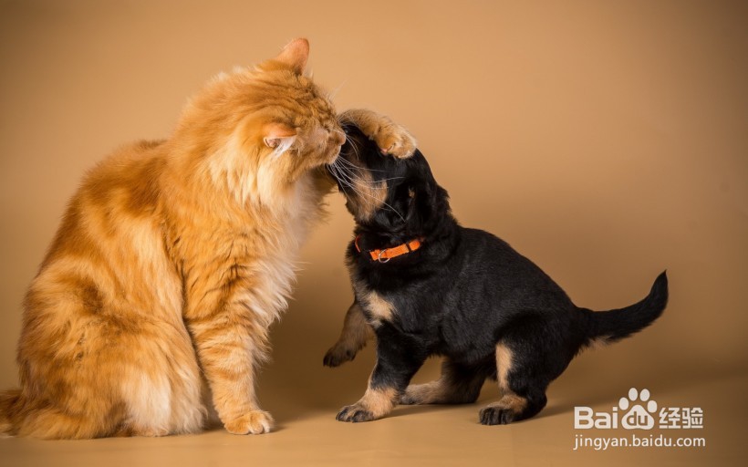 为什么你和你的会朋友渐行渐远