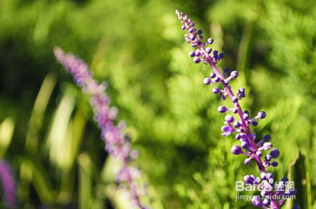 怎么关闭360放大镜