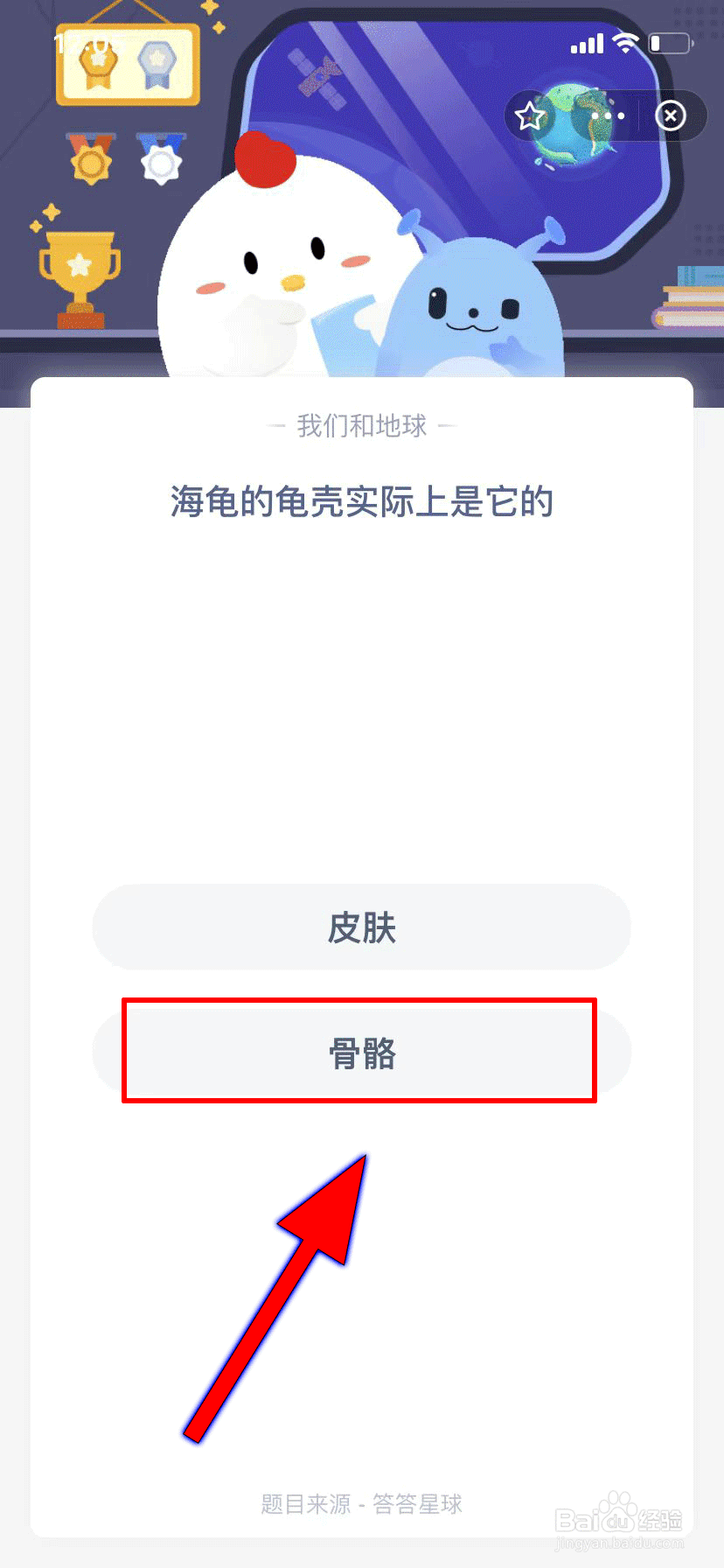 蚂蚁庄园问答题,海龟的龟壳实际上是它的