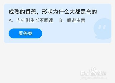 蚂蚁庄园成熟的香蕉，形状为什么大都是弯的
