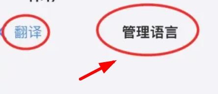 iPhone14怎么在管理中下载波兰语