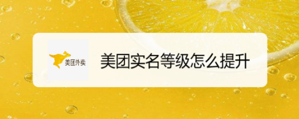 美团实名等级怎么提升