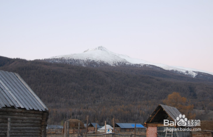 新疆喀纳斯图瓦村怎么玩?