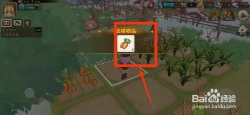 悠长假期如何收获胡萝卜