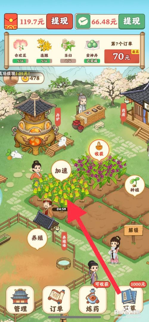 杏林世家怎么查看成功种植川贝
