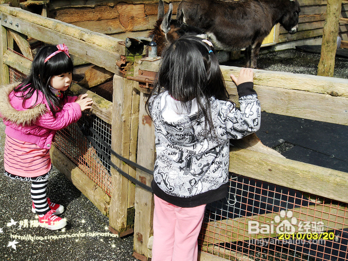 拾海的孩子&亲亲小动物(组图)