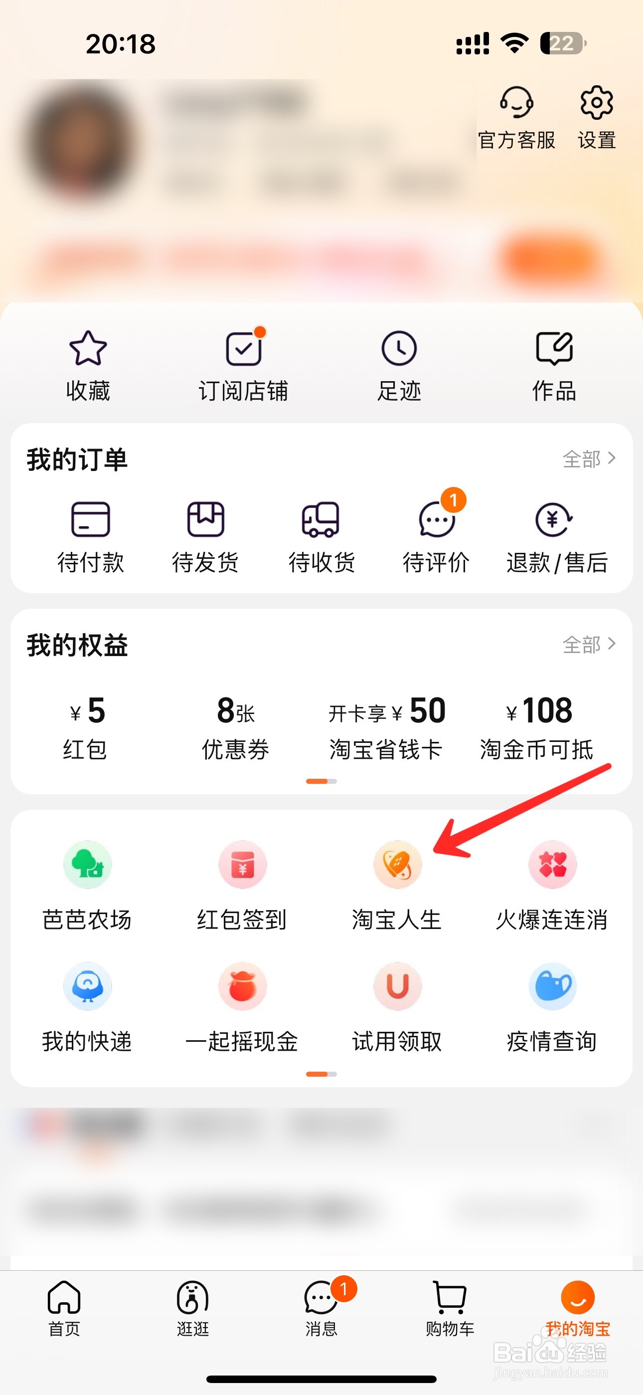 淘宝查消费总额在哪