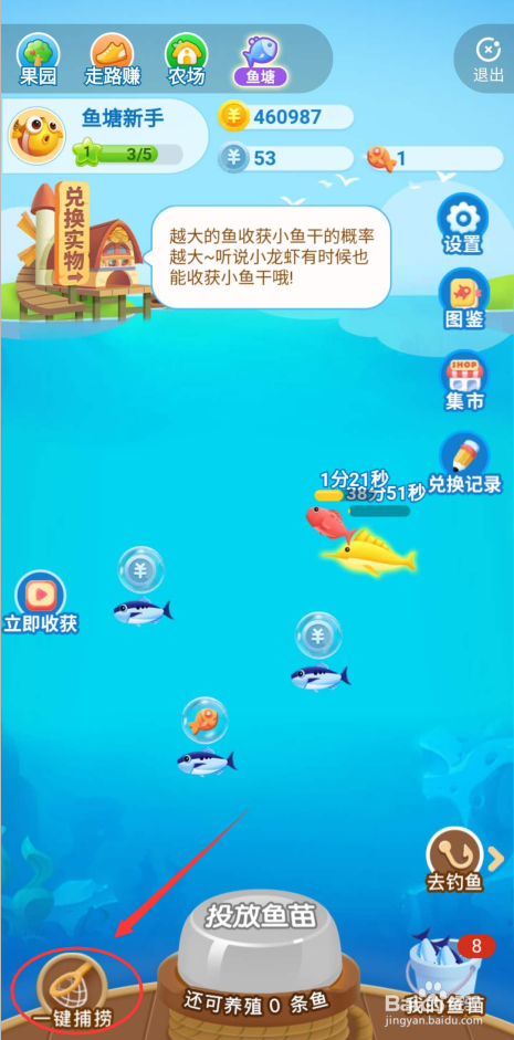 玩赚星球里的天天捕鱼怎么玩