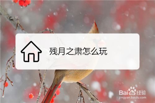 残月之肃怎么玩 百度经验 残月之肃怎么玩 百度经验