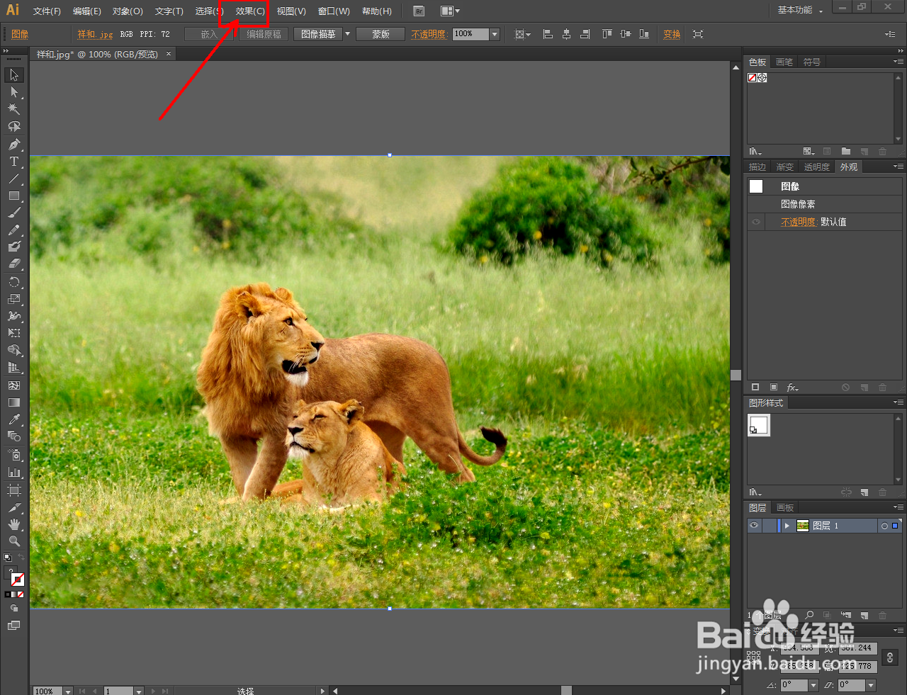 Ai怎么制作粉笔和炭笔效果