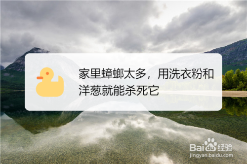 家里蟑螂太多用洗衣粉和洋葱就能杀死它