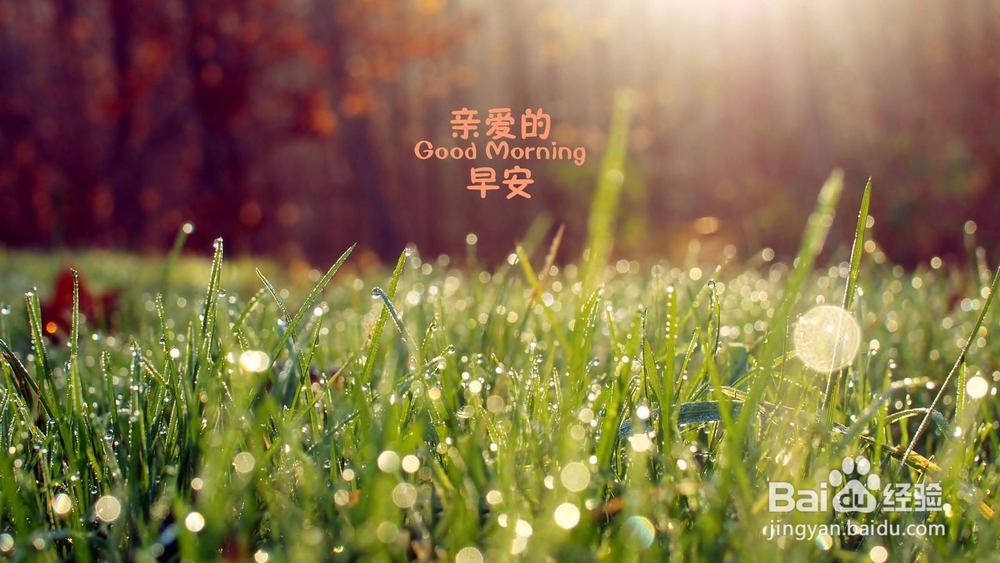 如何有意义的过完大学生活