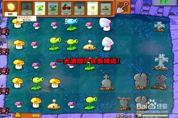 植物大战僵尸通全关的攻略。（十六第2---6关）