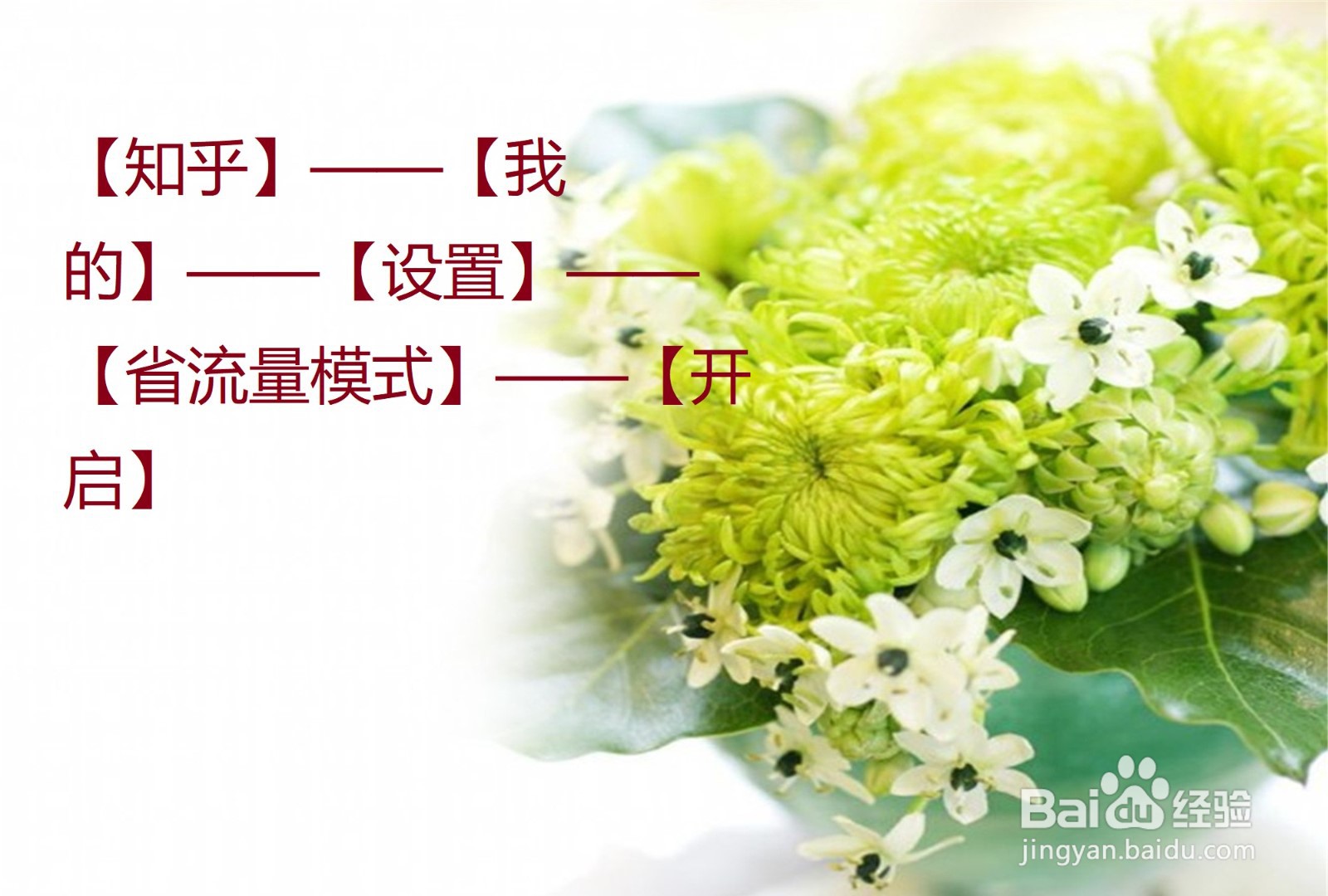 怎么让知乎在用流量看时，不自动加载图片？