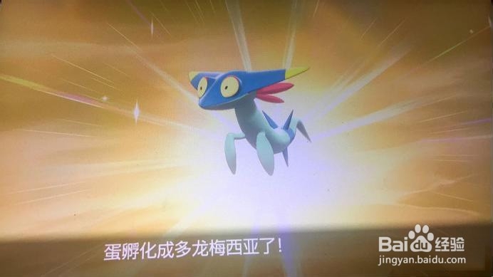 宝可梦剑盾捕捉技巧