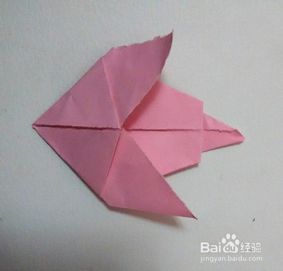 乐乐老师教你做手工之▁▁折纸鸽