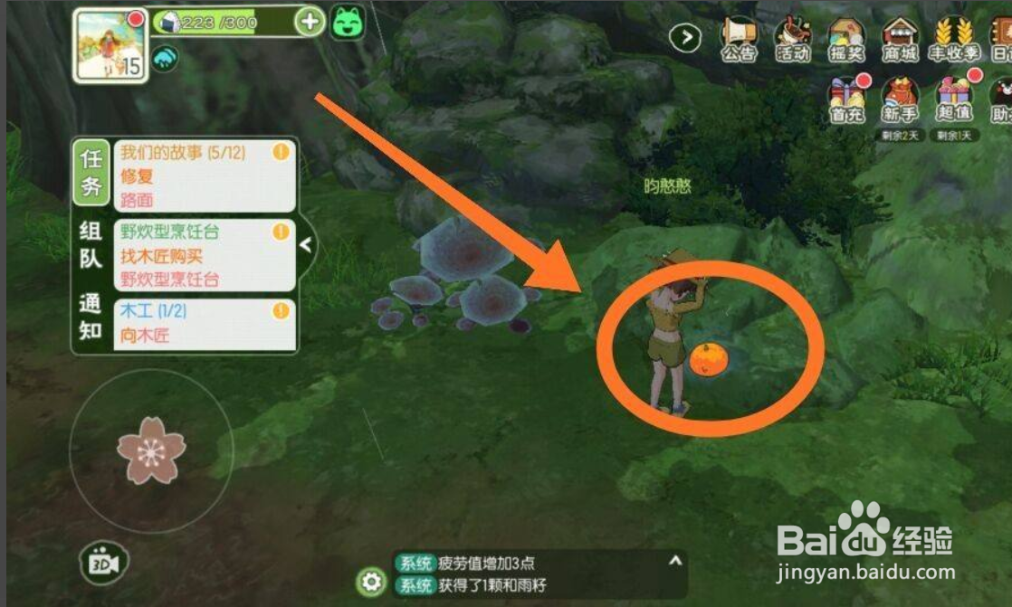 灯闪果丛怎么获得