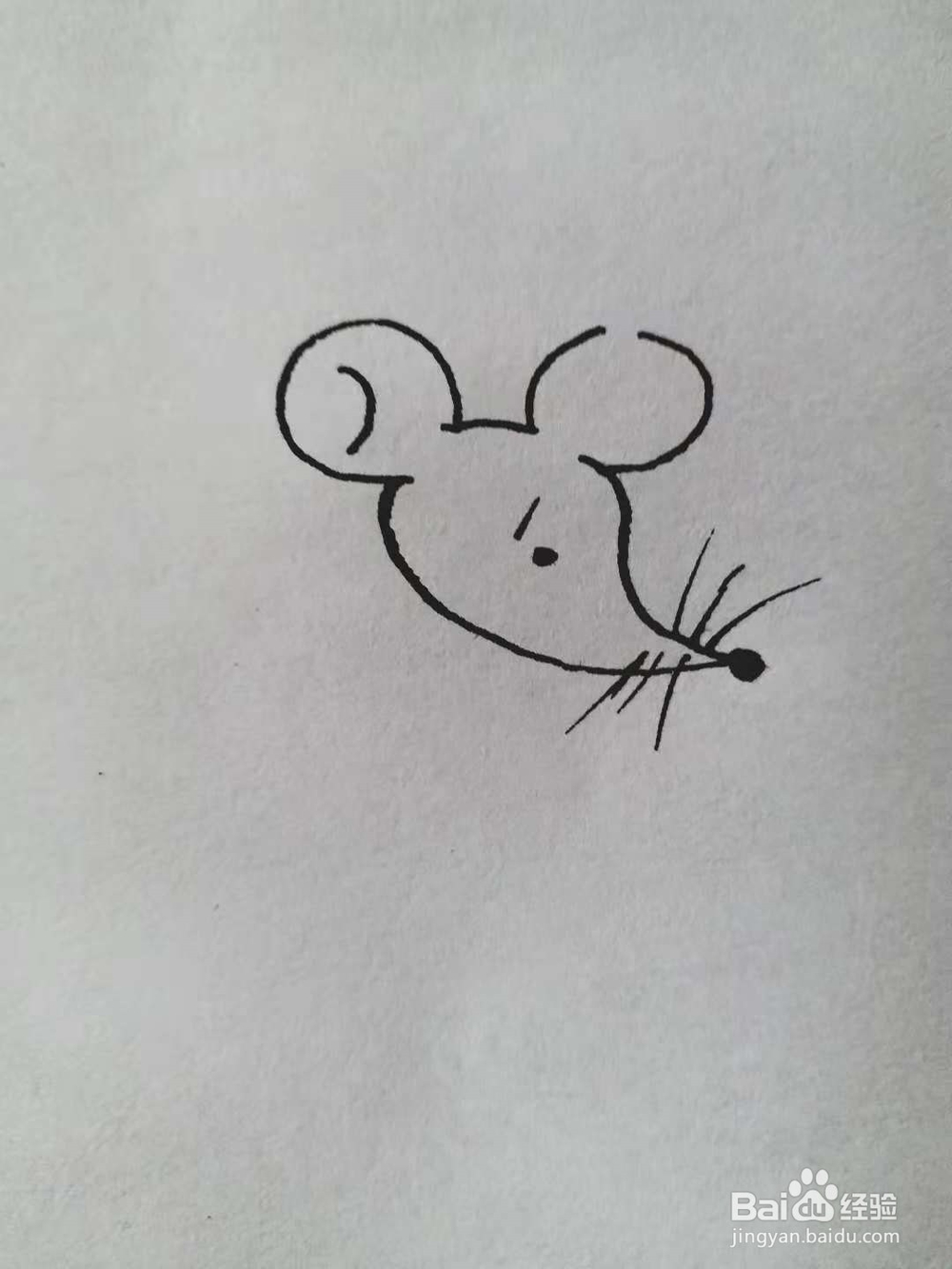 老鼠的简笔画法（一）
