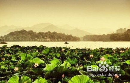 盘点学生最爱的10大旅游地