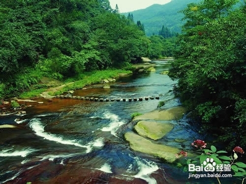 净土一般的天台山旅行攻略