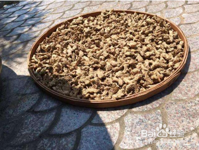 伏姜的做法和比例