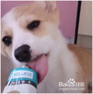 均衡营养、一膏多补---卫仕营养膏