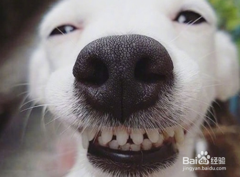 改掉坏脾气的方法