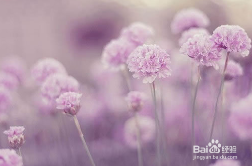 爱上了比大10岁的离婚女人该怎么办?