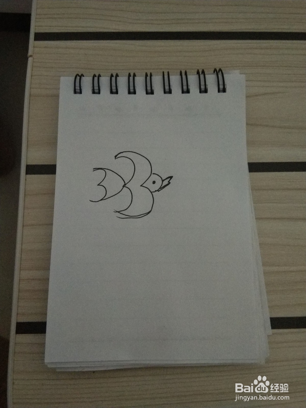 燕子的简笔画这样画