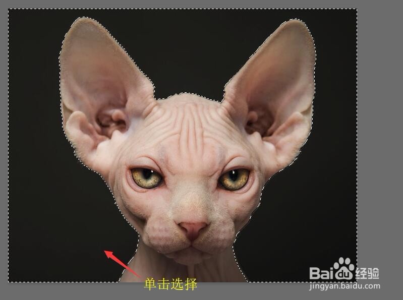 Photoshop 如何创建图像的木刻效果