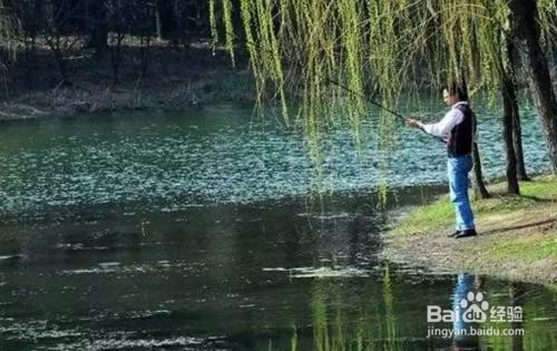 野钓中那些鱼有毒还有硬刺