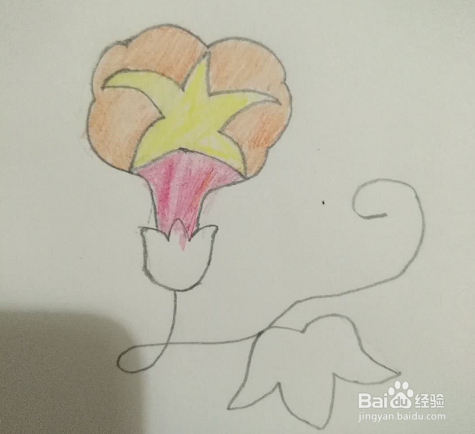 简笔画牵牛花怎么画？